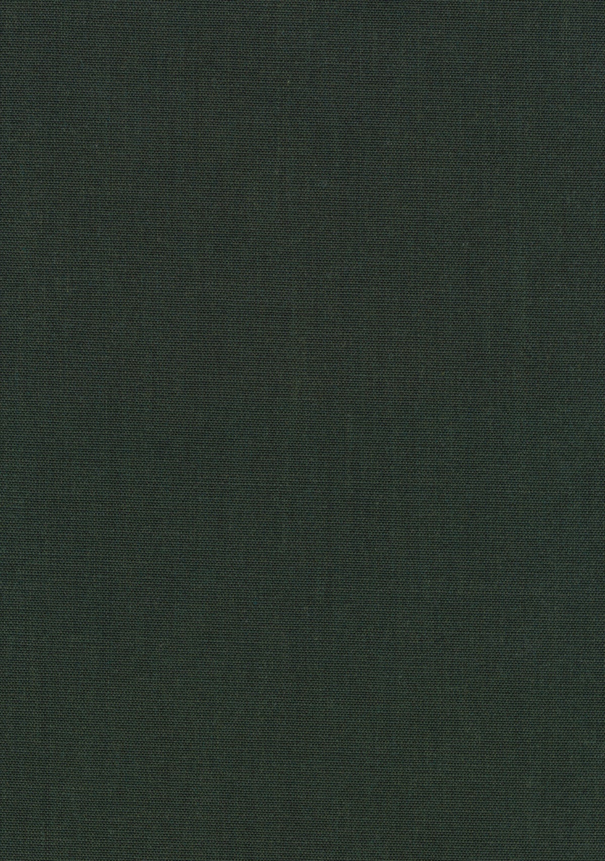 Canvas 2