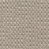 Kleur 91