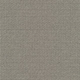 Kleur 07