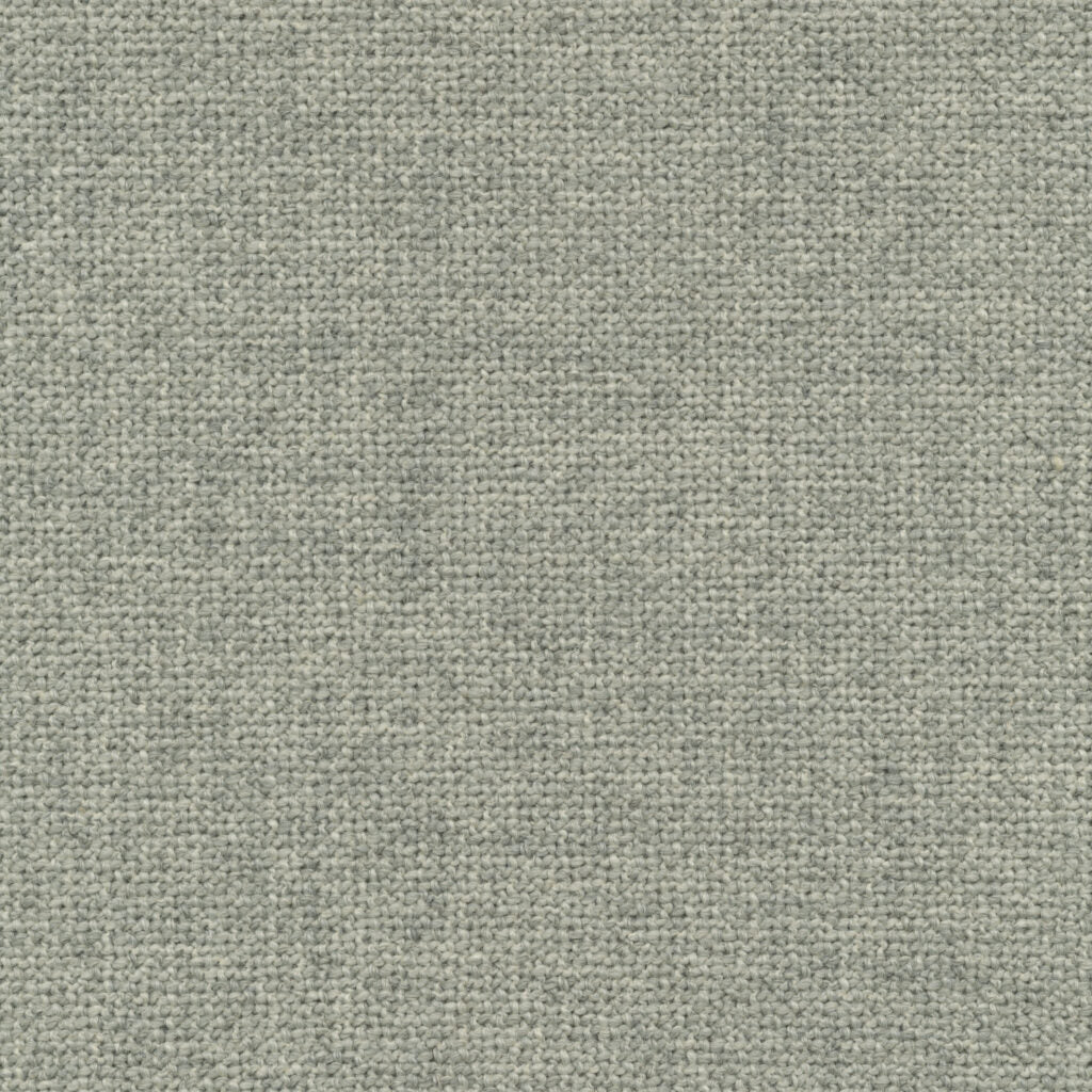Taro