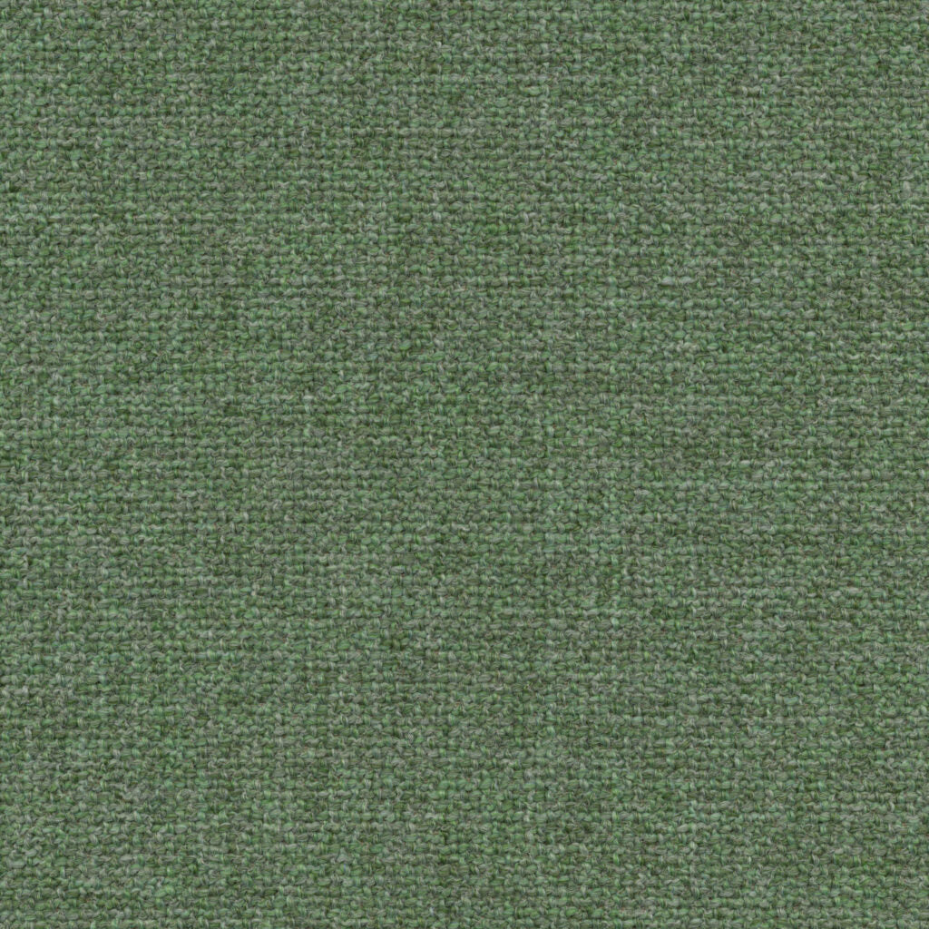 Taro