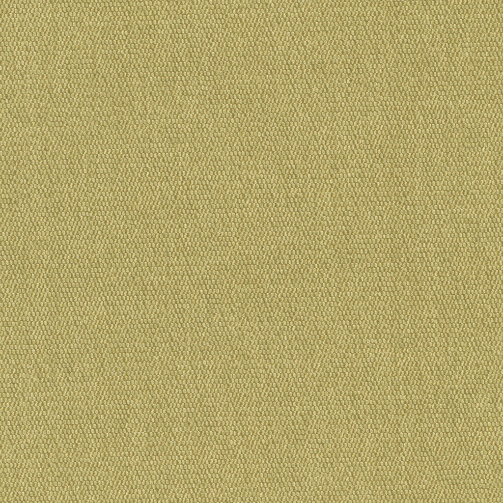 Prairie