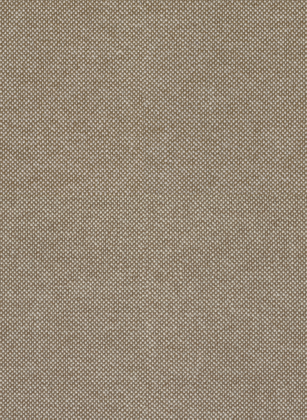 Hallingdal 65