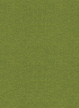 Kleur 0980