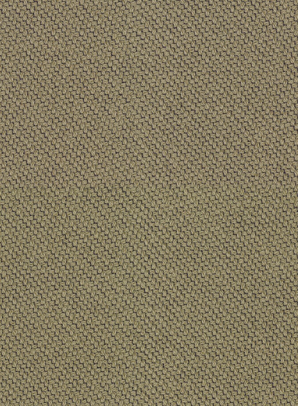 Coda 2