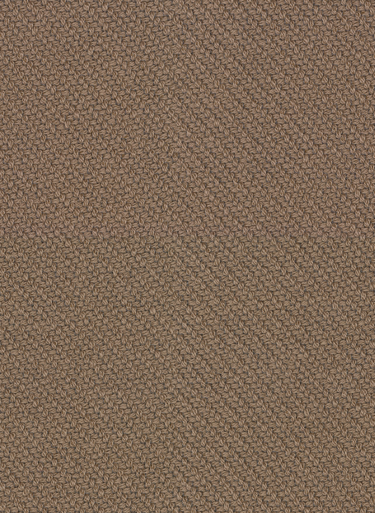 Coda 2