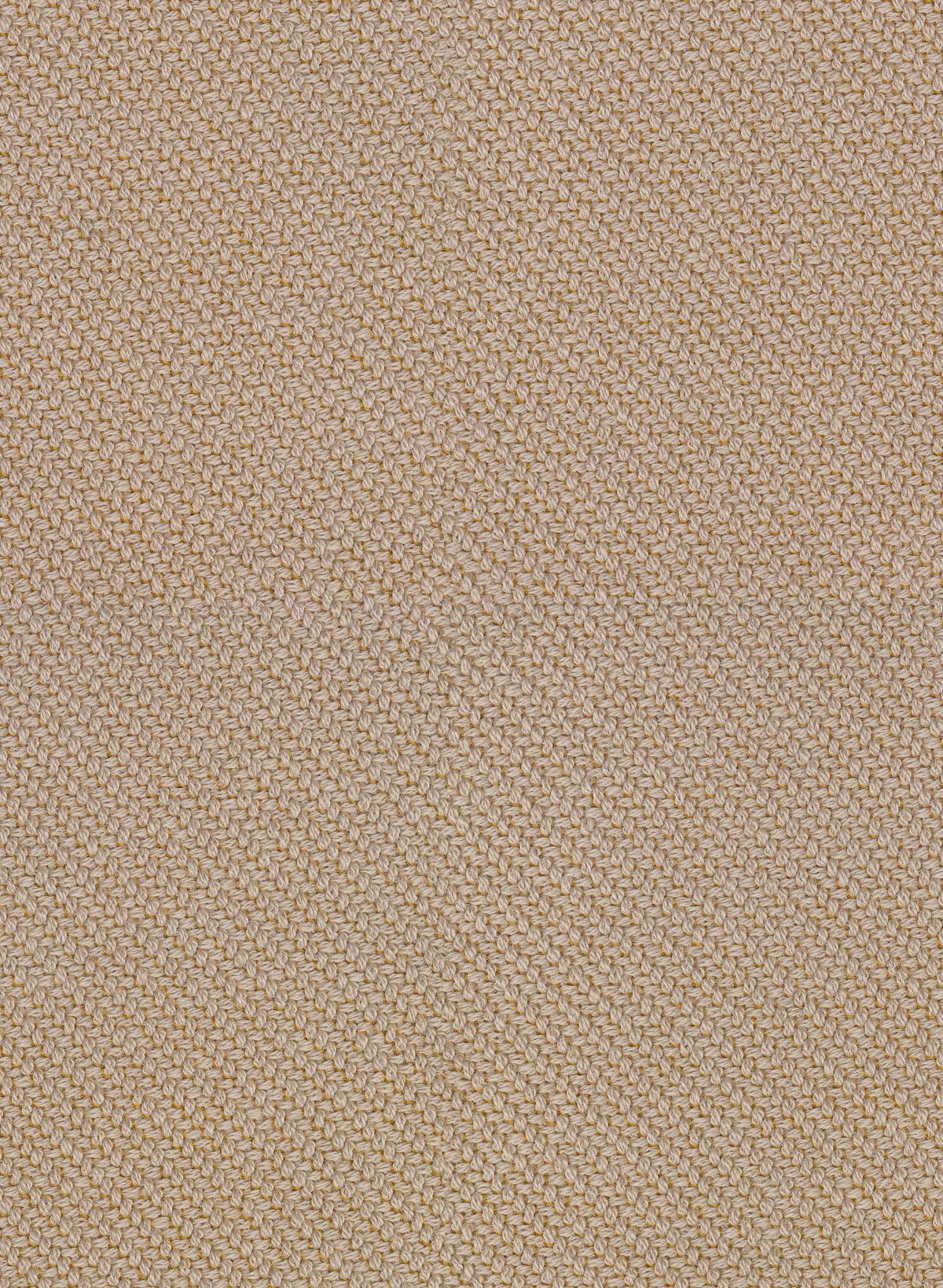 Coda 2