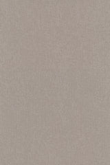 Colour 0241