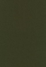 Kleur 0131