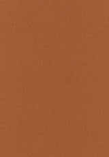 Kleur 0464