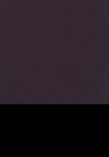 Kleur 0684