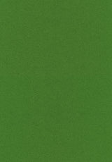 Kleur 0954