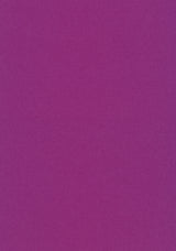 Kleur 0666