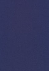 Kleur 0684