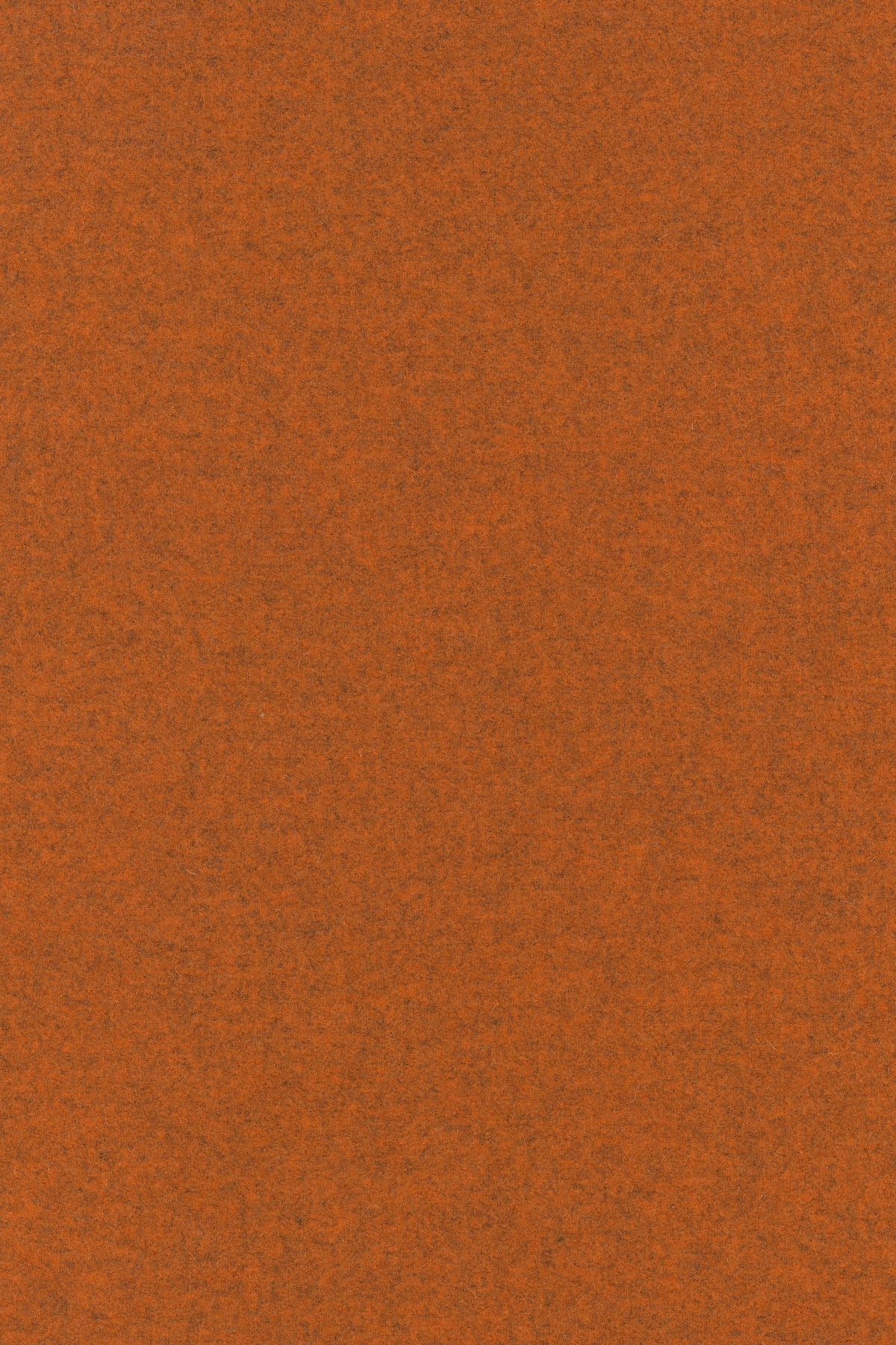 Divina Melange 3