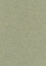 Colour 0913