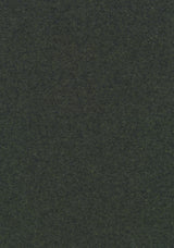 Colour 0973