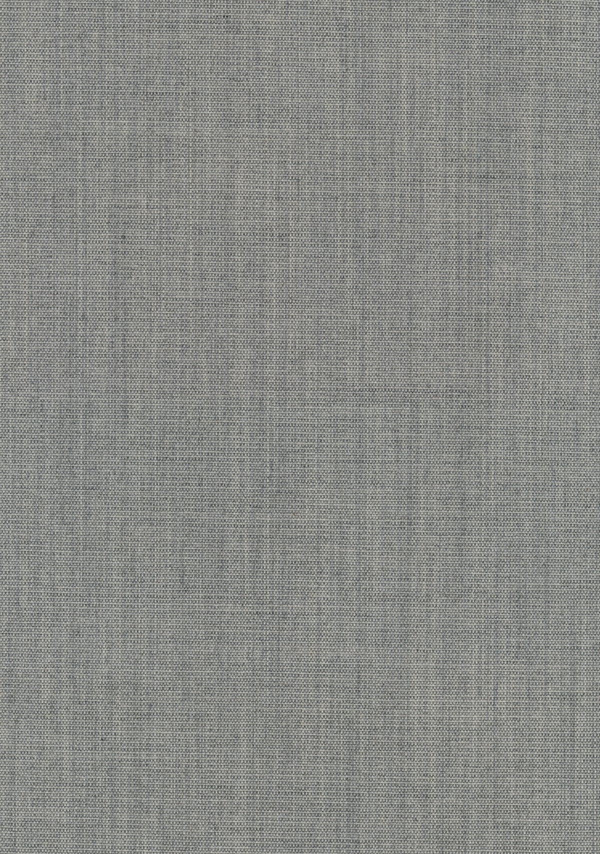 Canvas 2 