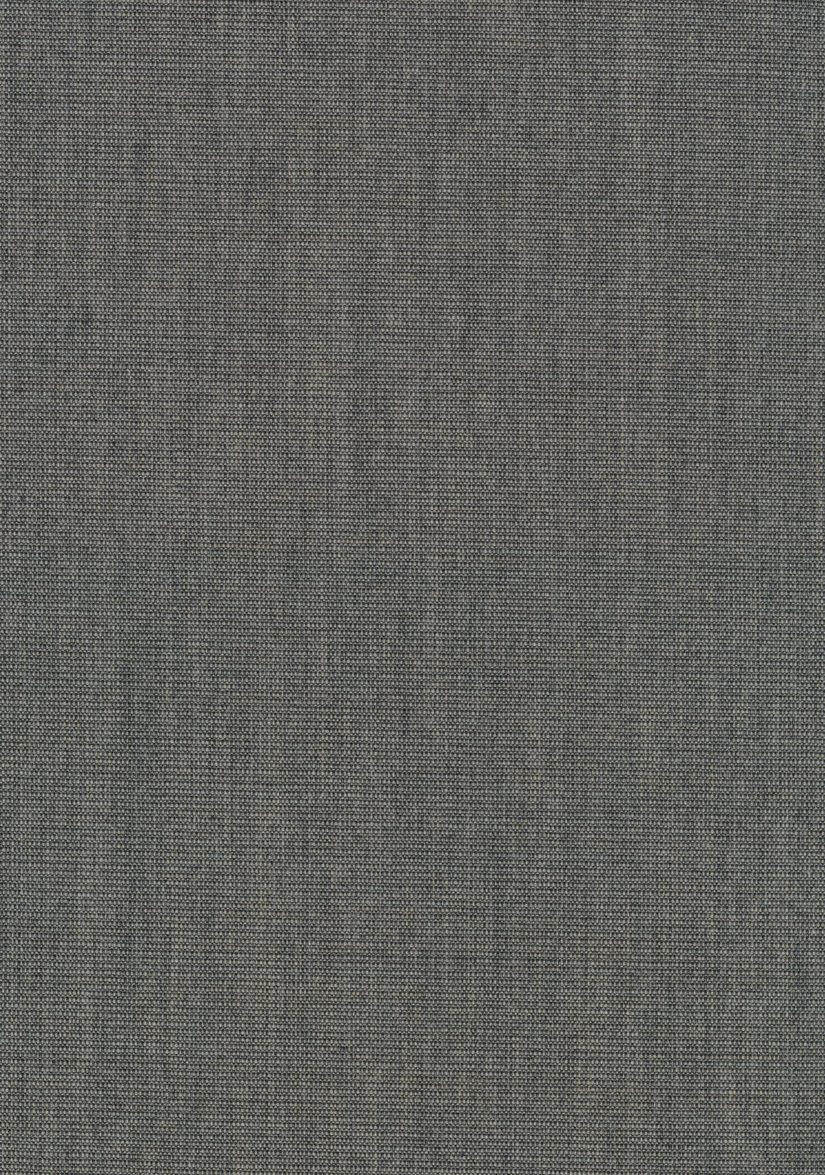 Canvas 2 