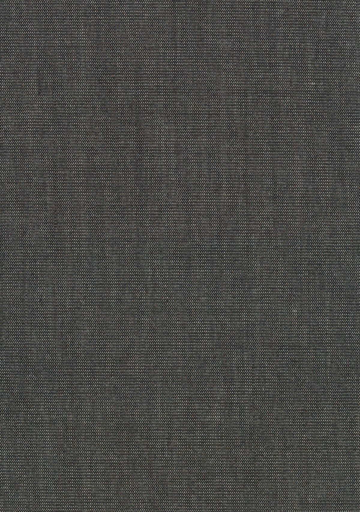 Canvas 2 