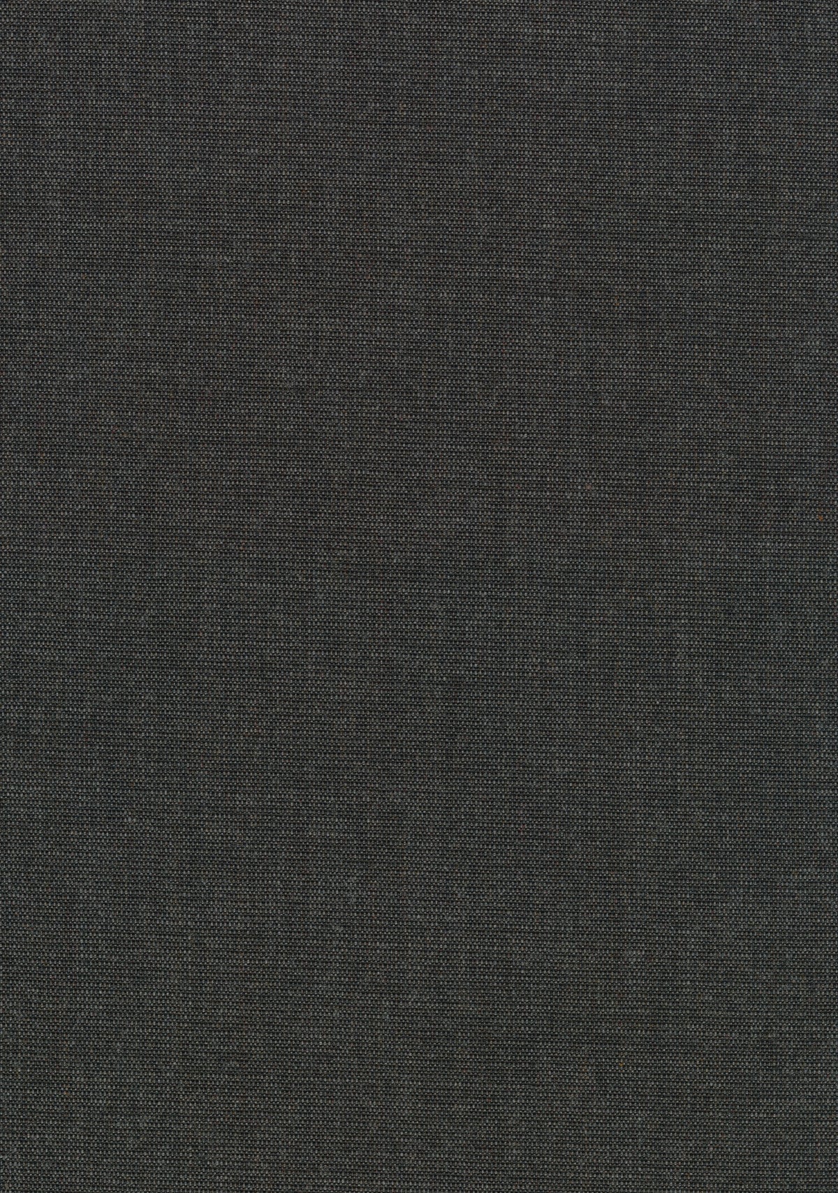 Canvas 2 