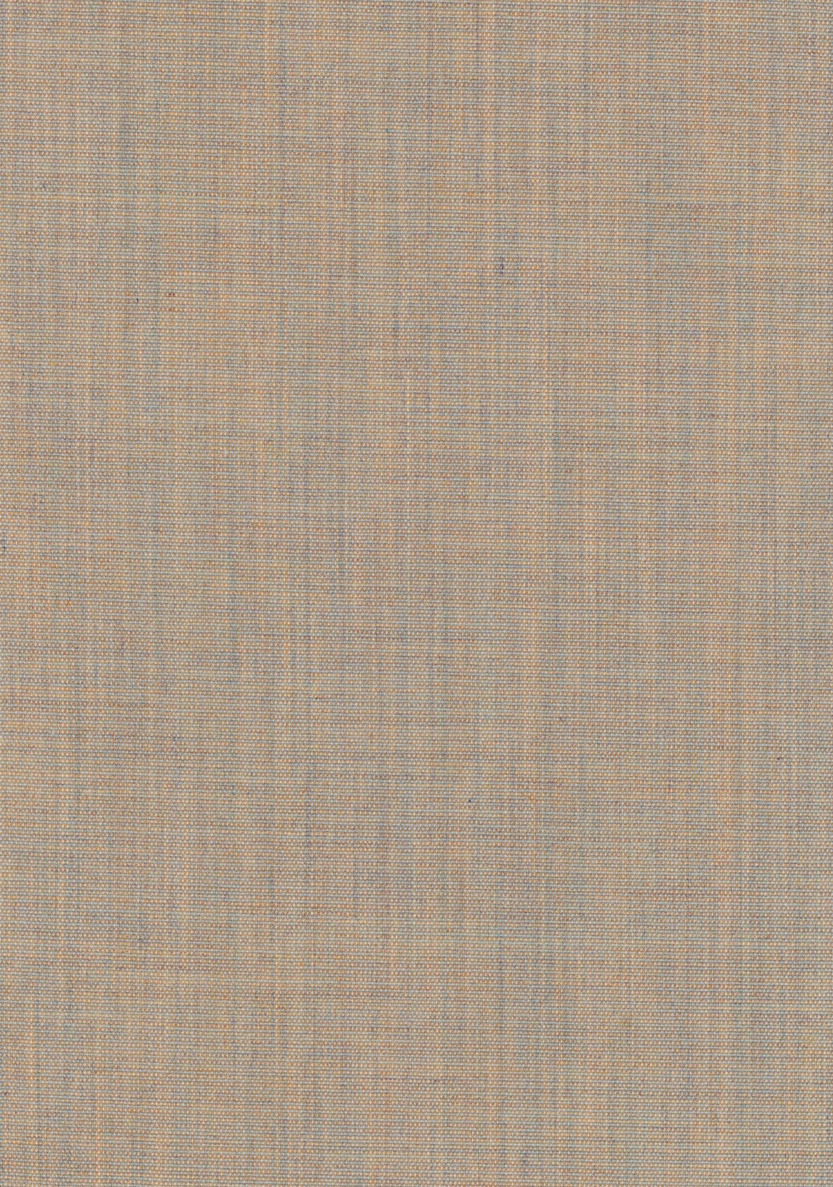 Canvas 2 