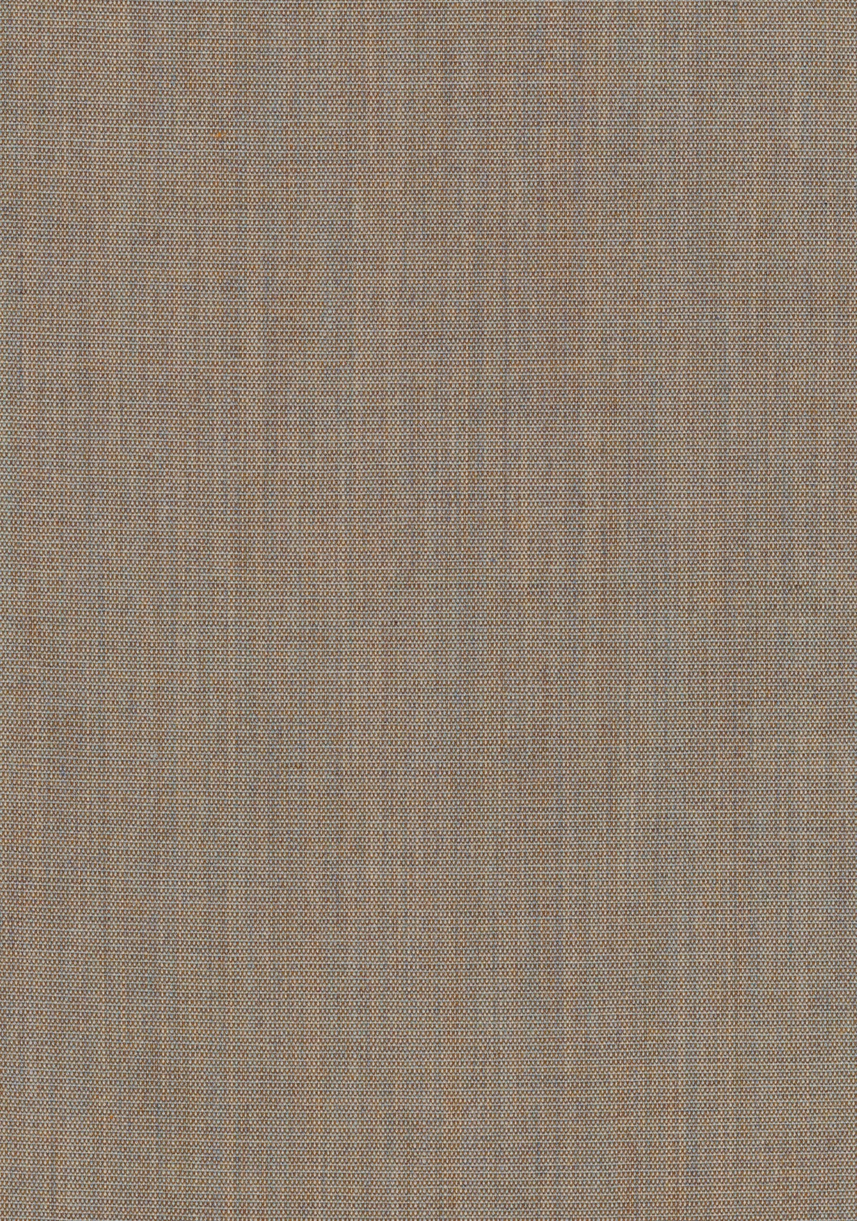 Canvas 2 