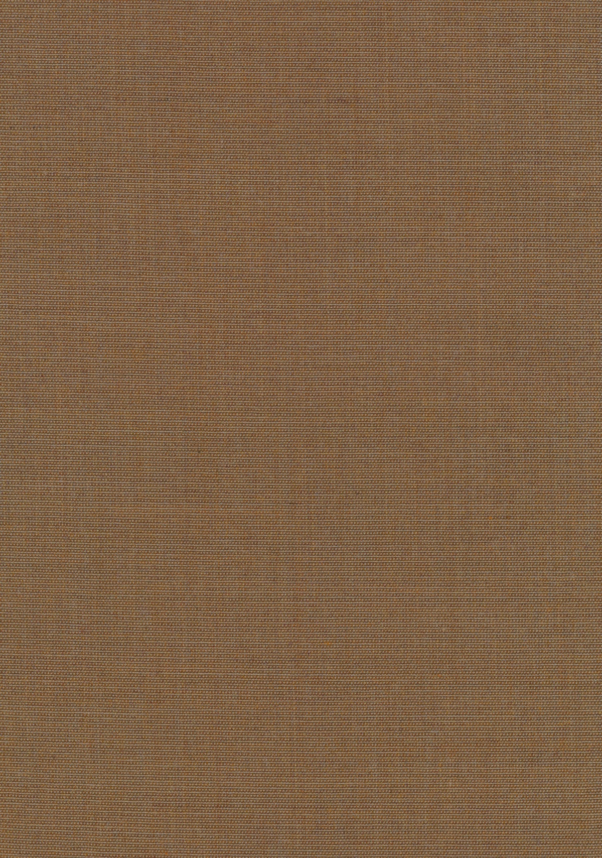 Canvas 2 