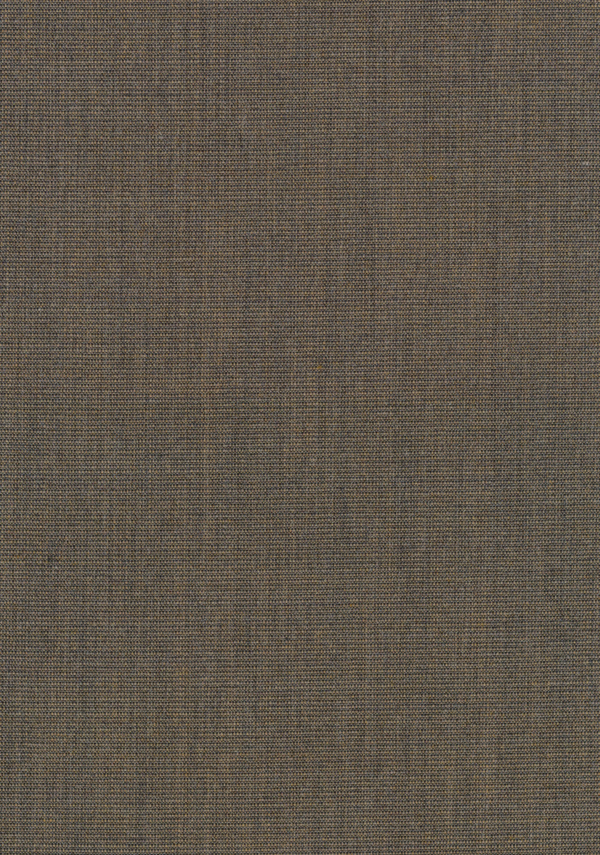 Canvas 2 
