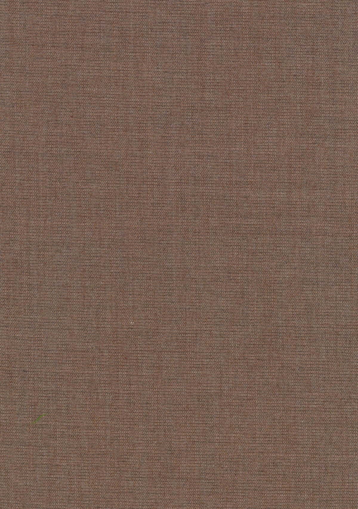 Canvas 2 