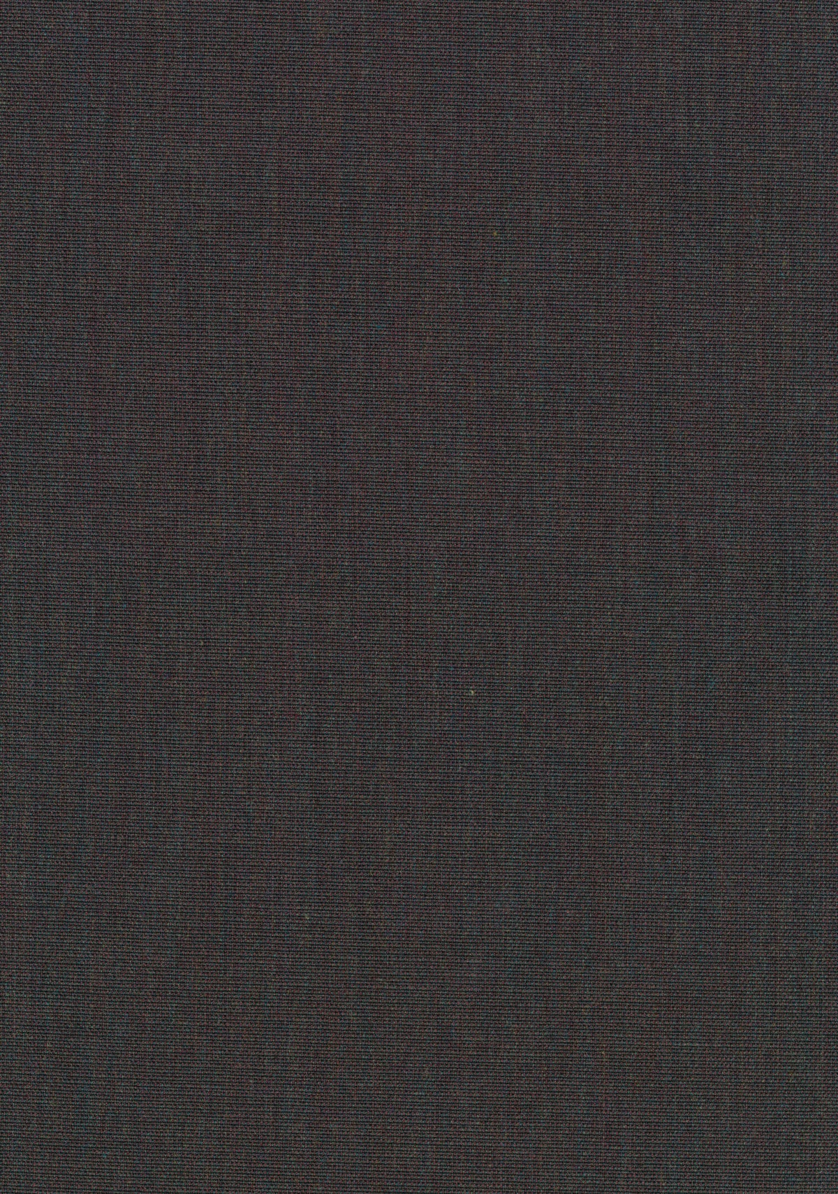 Canvas 2 