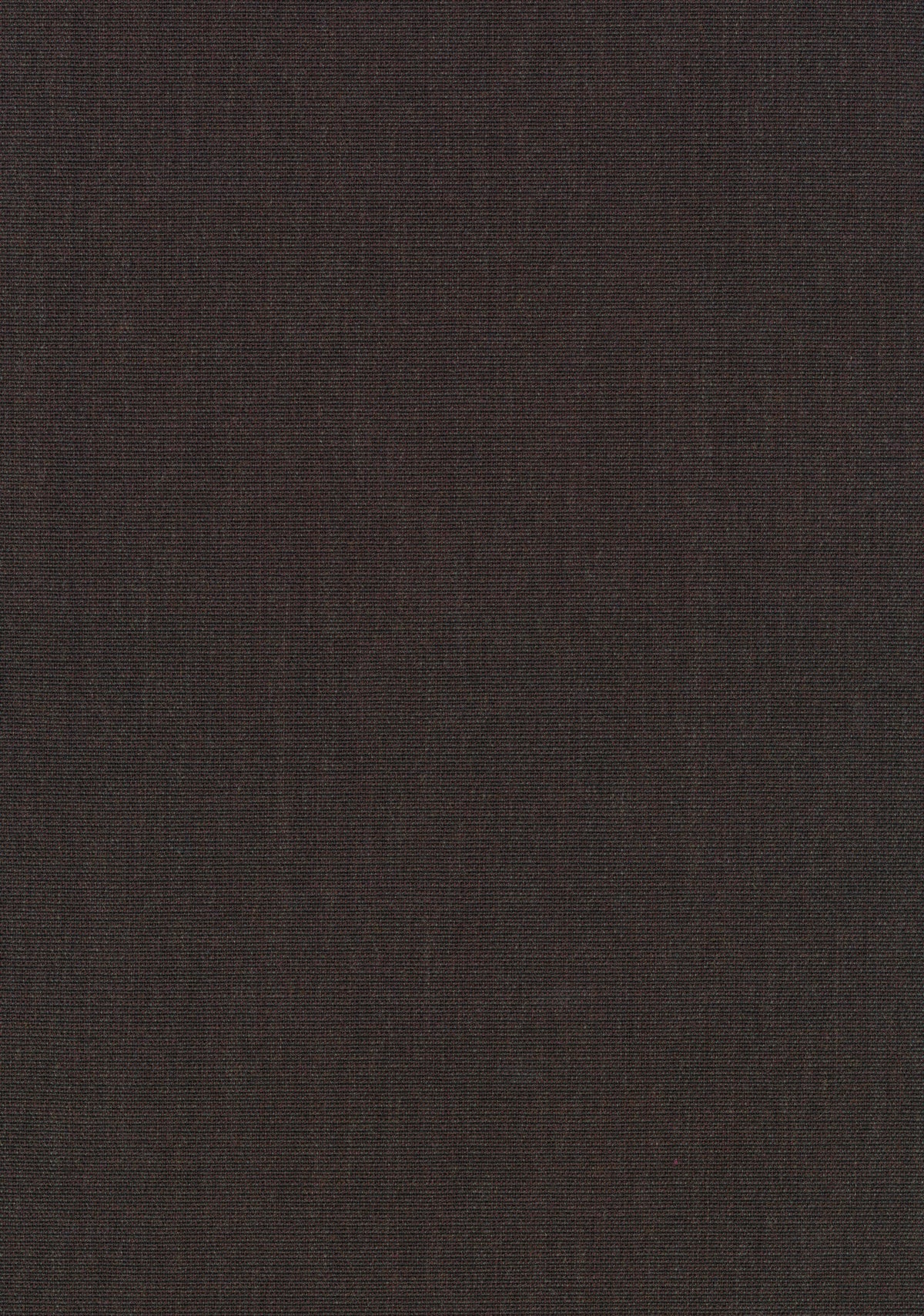Canvas 2 