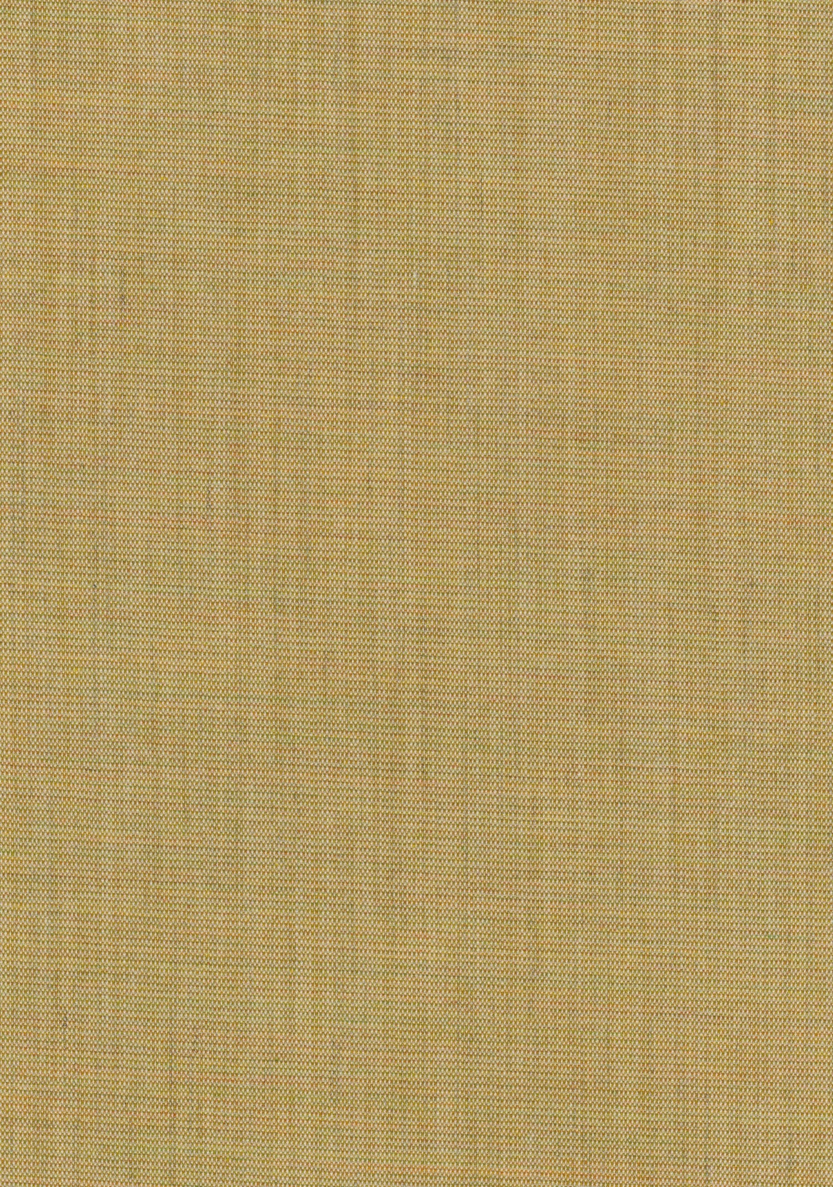 Canvas 2 