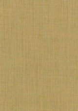 Colour 0374