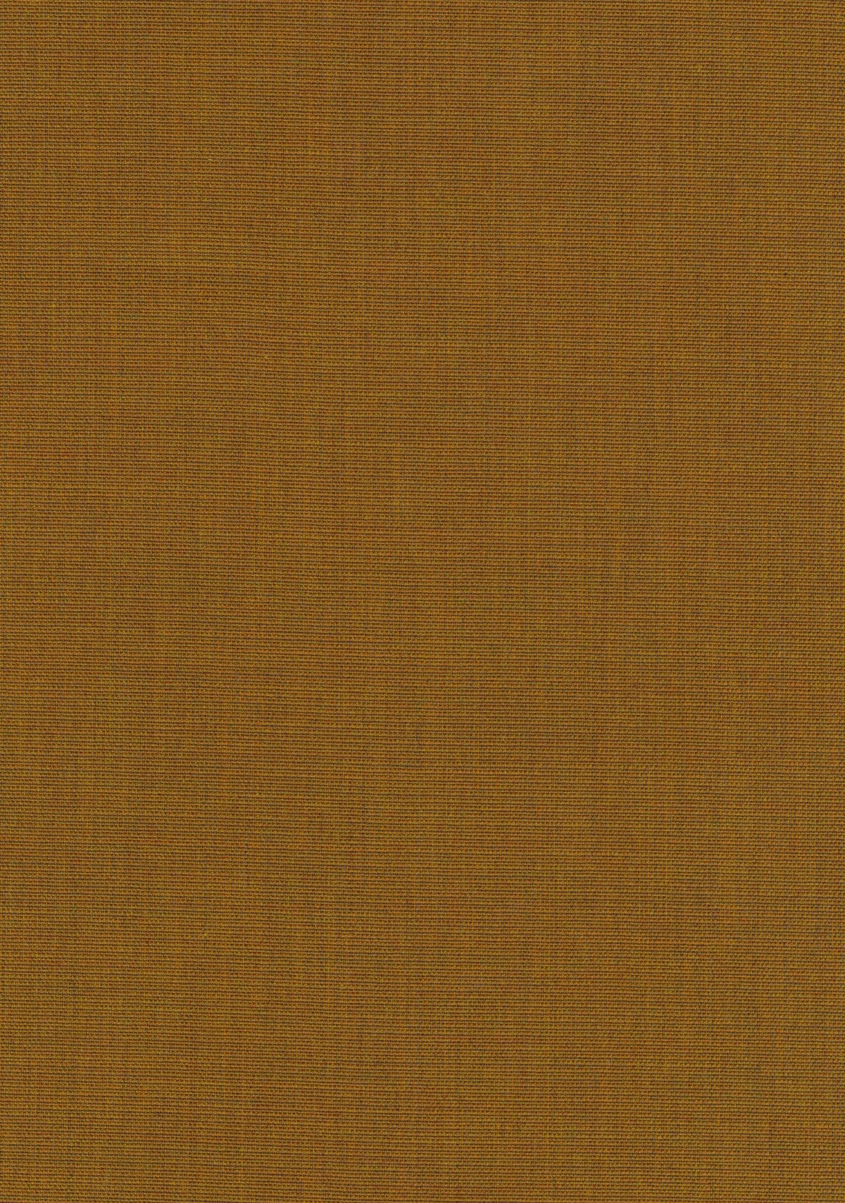 Canvas 2 