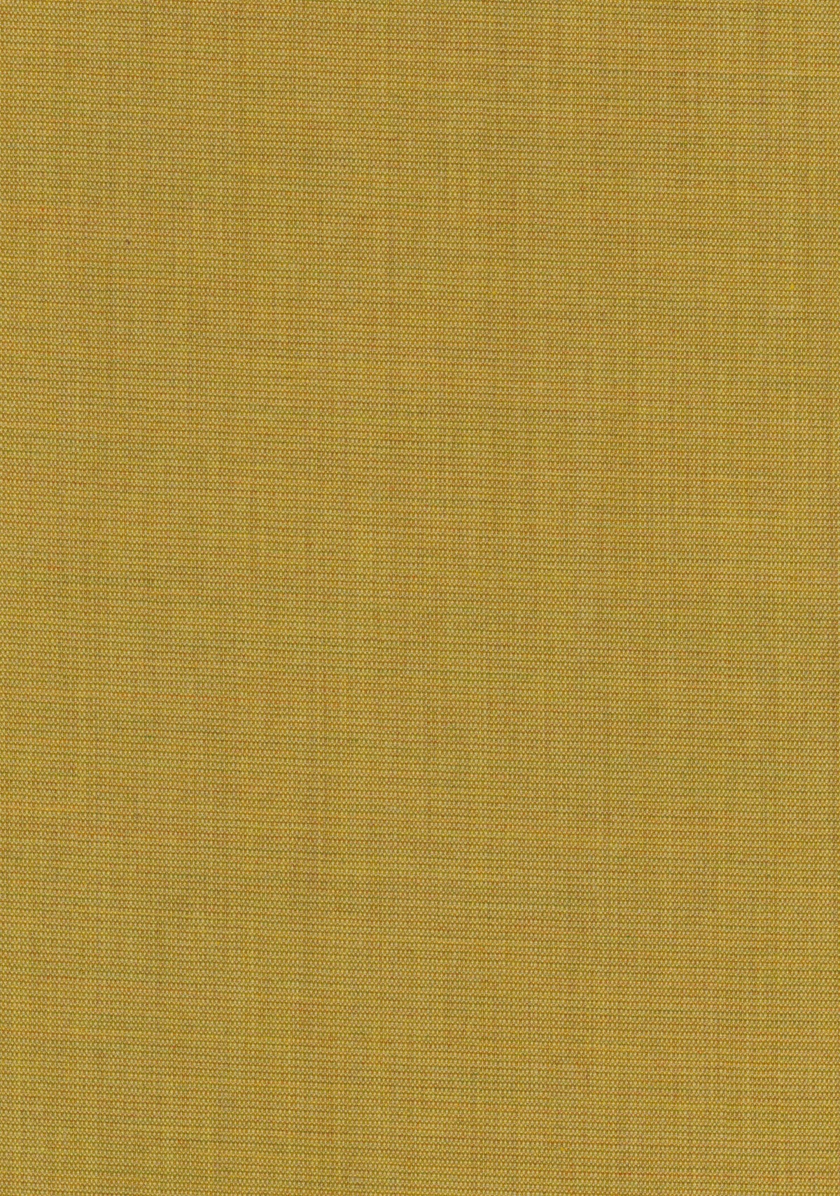 Canvas 2 