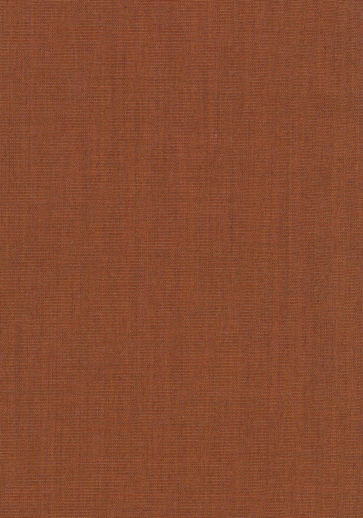 Canvas 2 