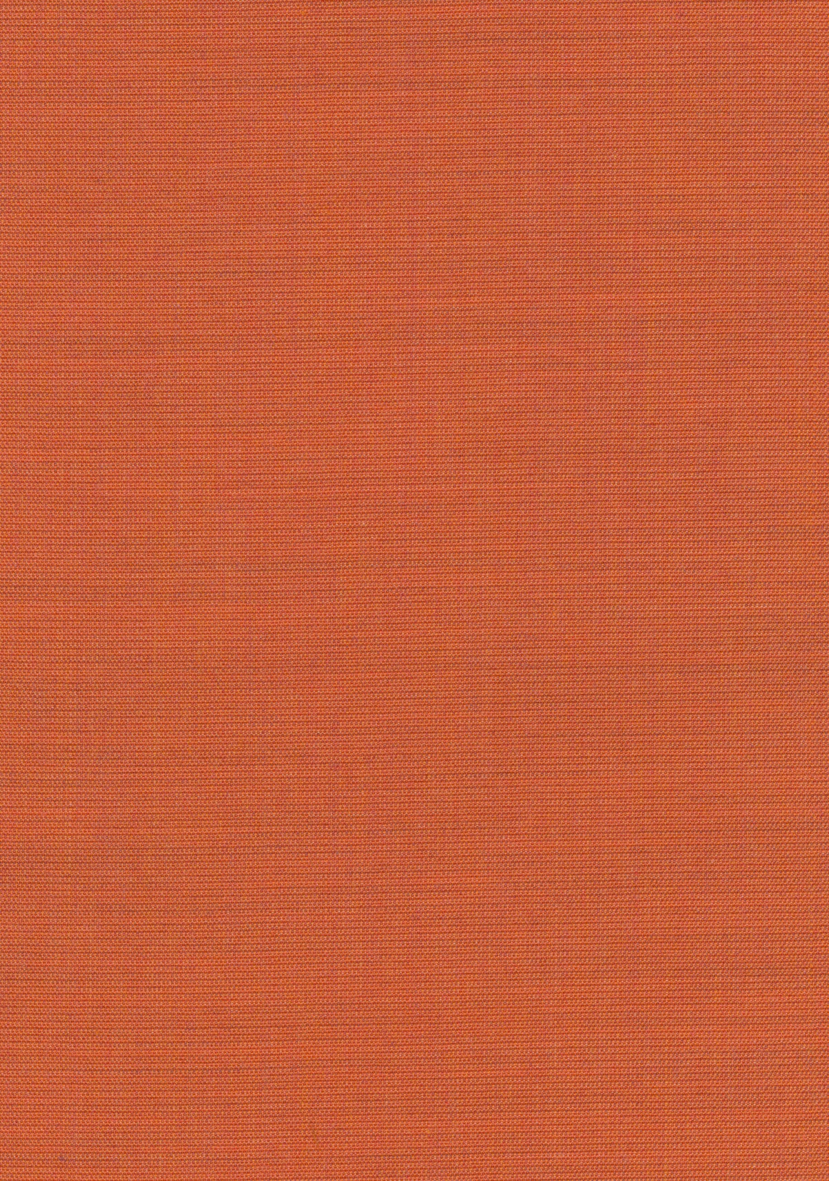 Canvas 2 