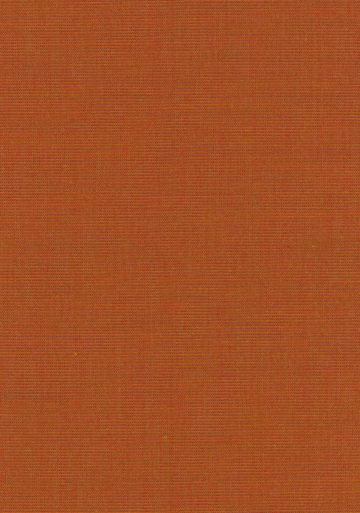Canvas 2 