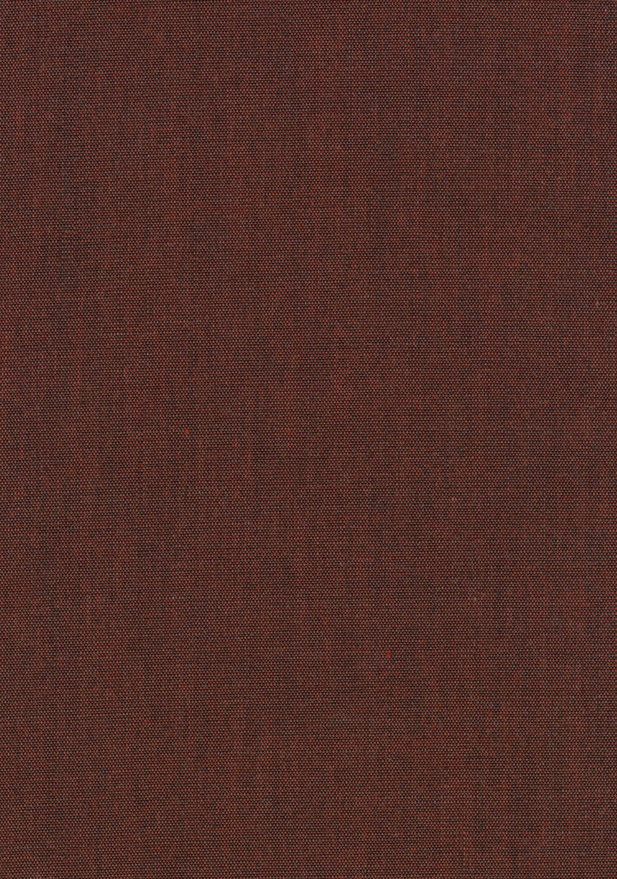 Canvas 2 