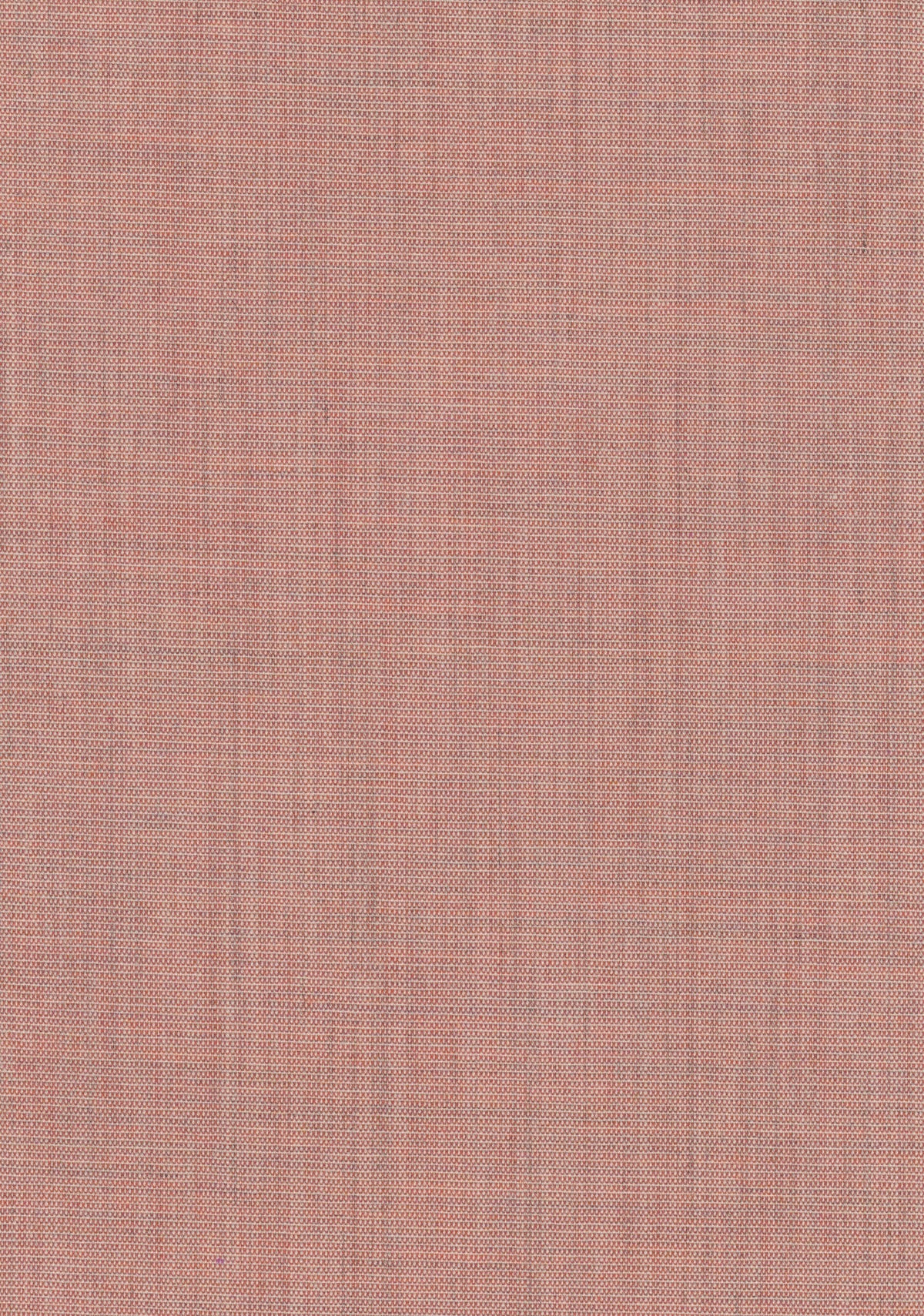 Canvas 2 