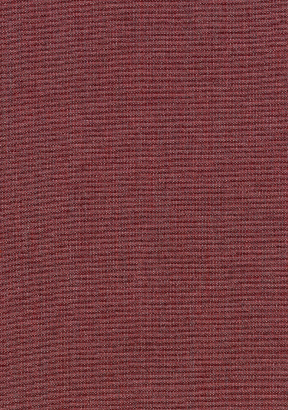 Canvas 2 