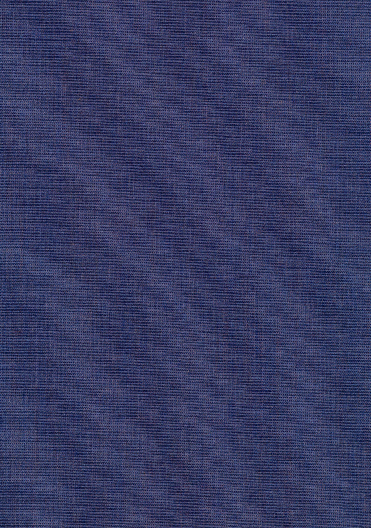 Canvas 2 
