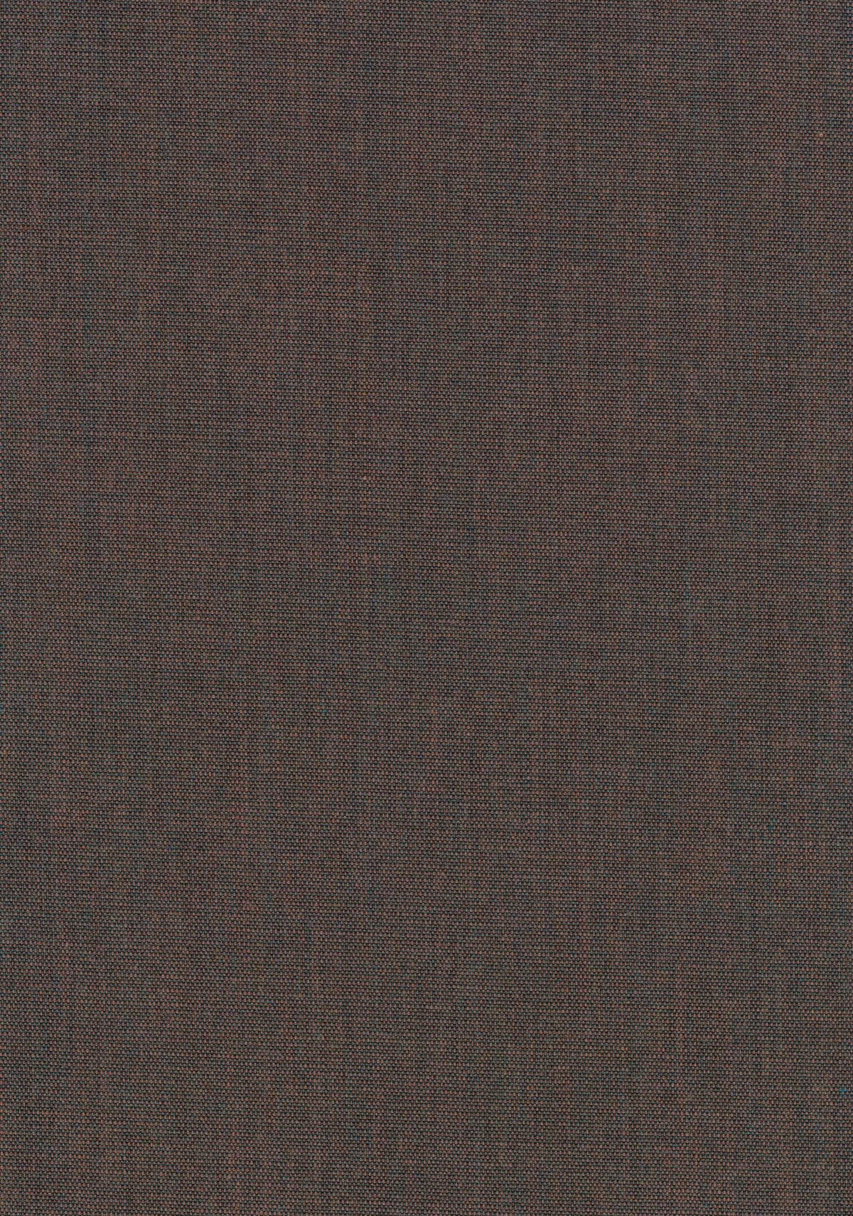 Canvas 2 