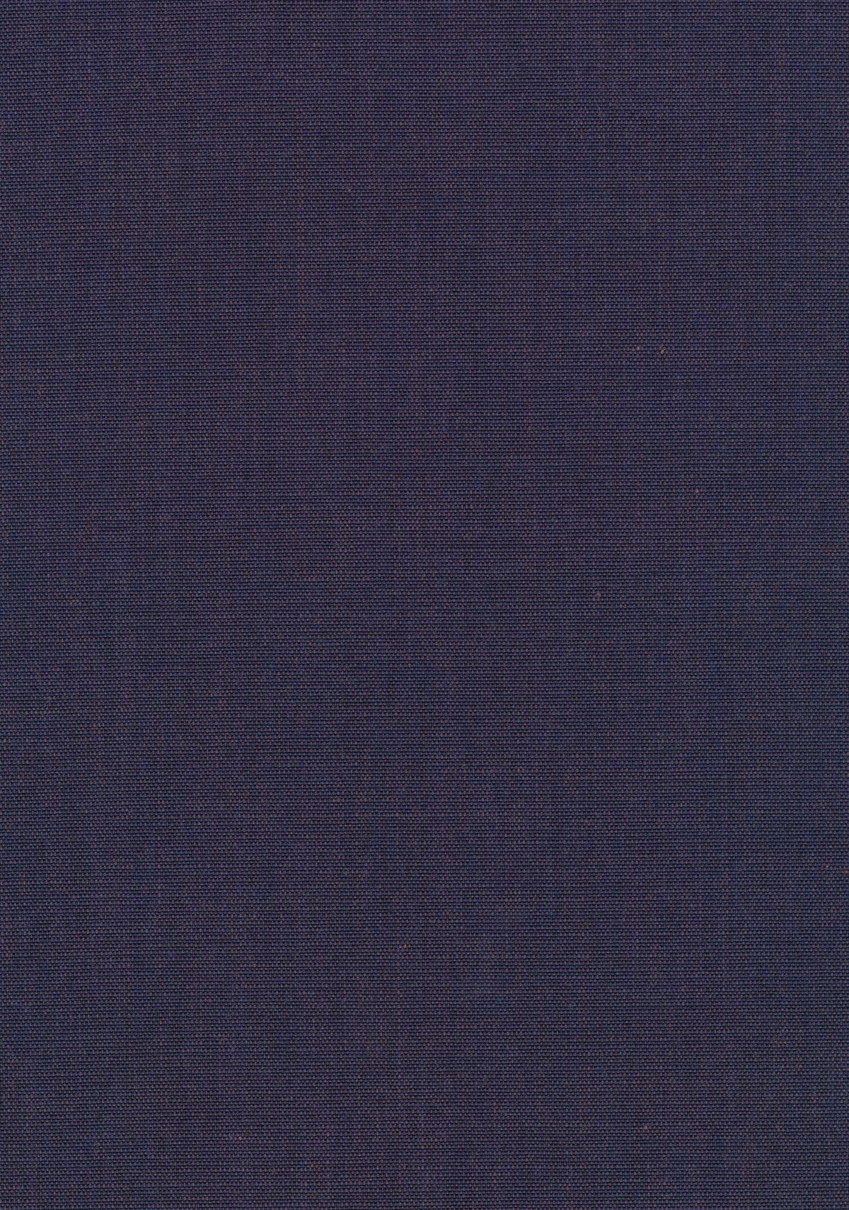 Canvas 2 