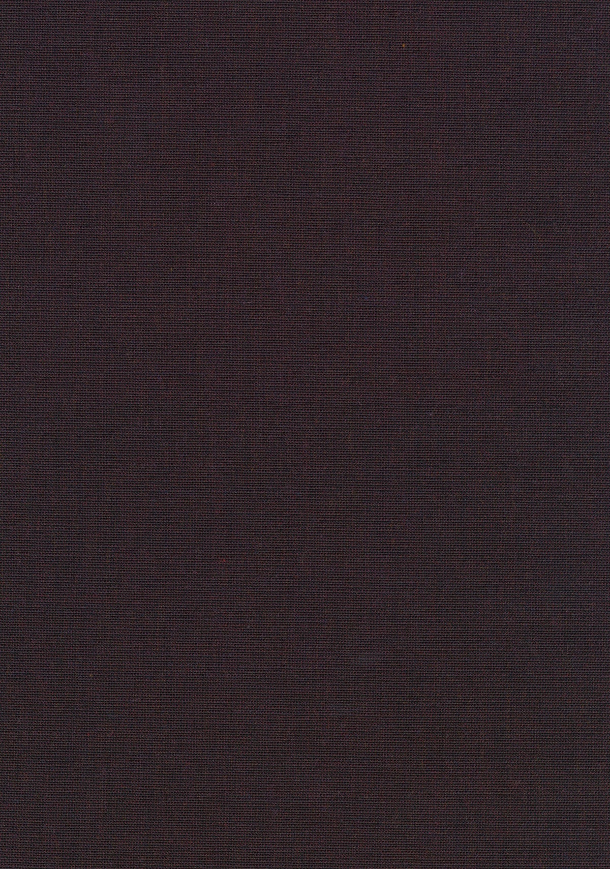 Canvas 2 