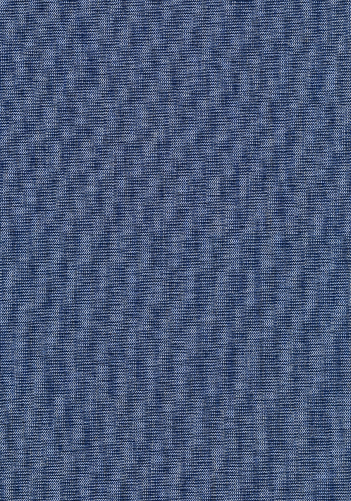 Canvas 2 
