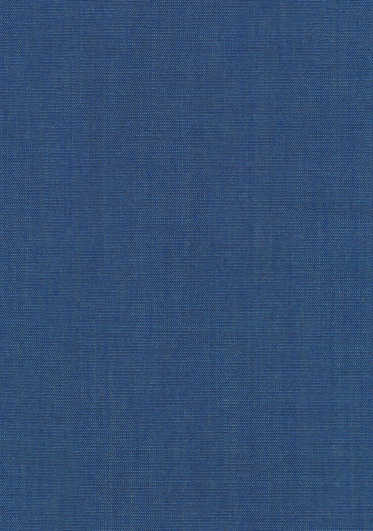 Canvas 2 