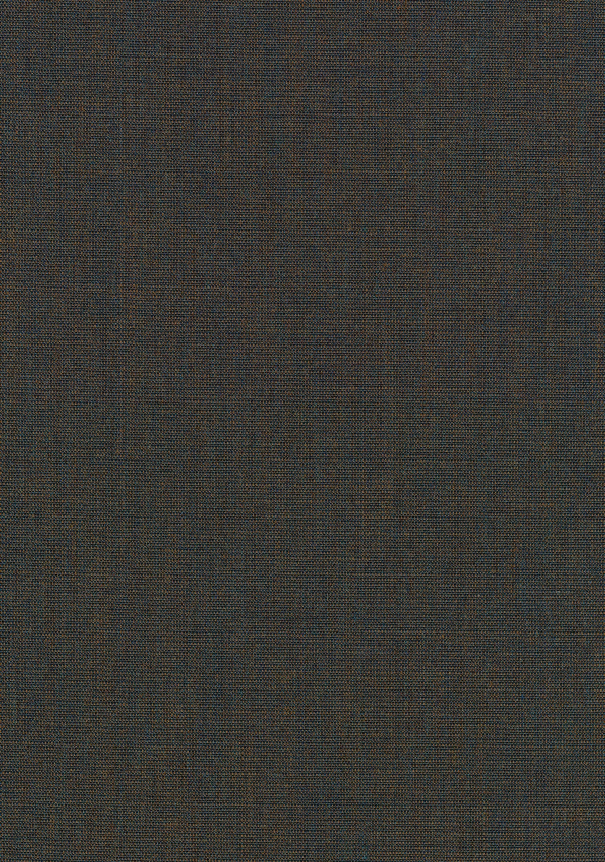 Canvas 2 