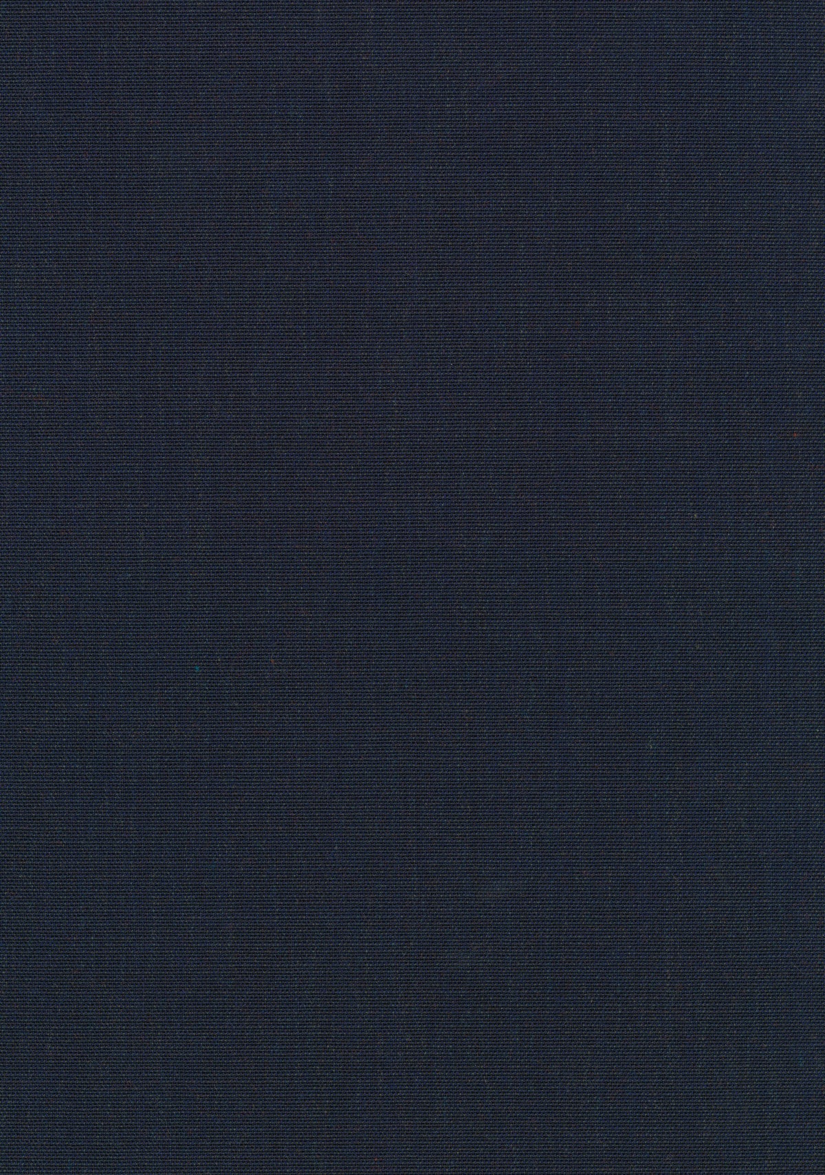 Canvas 2 